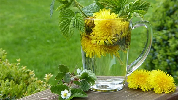 グラウンドホッグが食べる植物リストと庭を守る防除方法